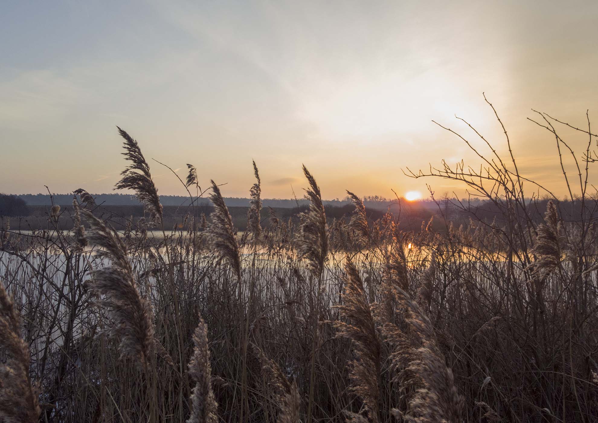 do sprzedania dom nad jeziorem gołuchowskim, pejzaż o świcie